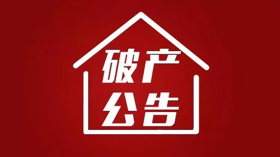 天津市中环亚光电子有限责任公司破产审计案例